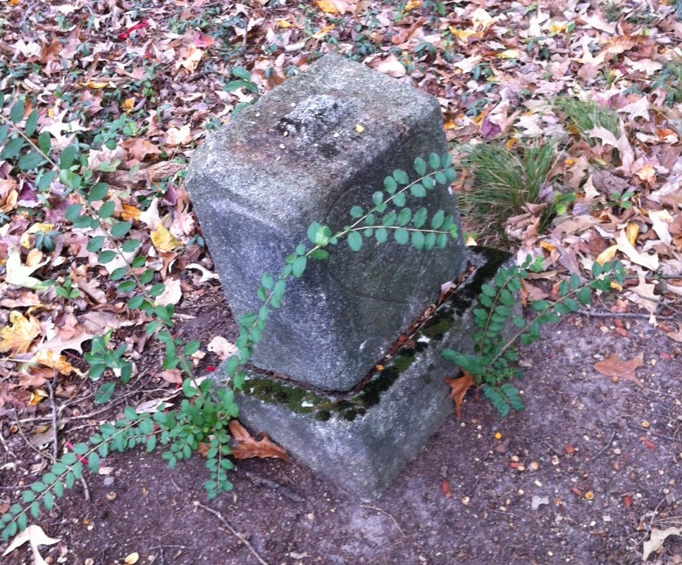 Mt. Olive Cemetery Buckhead Heritage